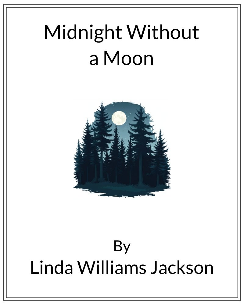 Cover image for Midnight Without a Moon